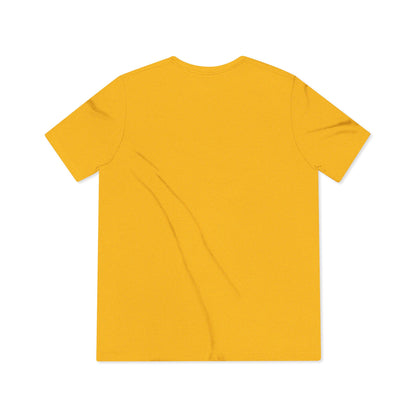 Summer Time Fine -  Unisex Triblend Tee